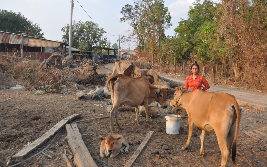 Mẹ đơn th&acirc;n mất con do tai nạn, đối mặt &aacute;n t&ugrave;- Ảnh 2.