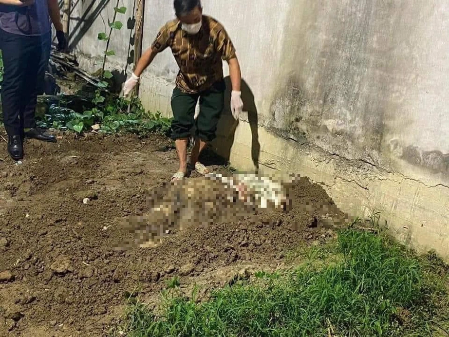 Hải Ph&ograve;ng: Ph&aacute;t hiện thi thể nữ sinh 15 tuổi mất t&iacute;ch ở vườn chuối- Ảnh 1.