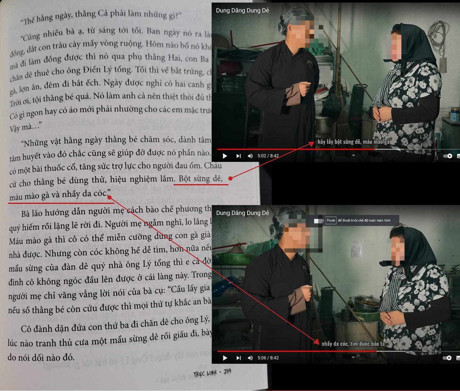Nh&agrave; văn Thục Linh tố TikToker nổi tiếng đạo nh&aacute;i nội dung s&aacute;ch &ldquo;B&oacute;ng trăng trắng ng&agrave;"- Ảnh 5.