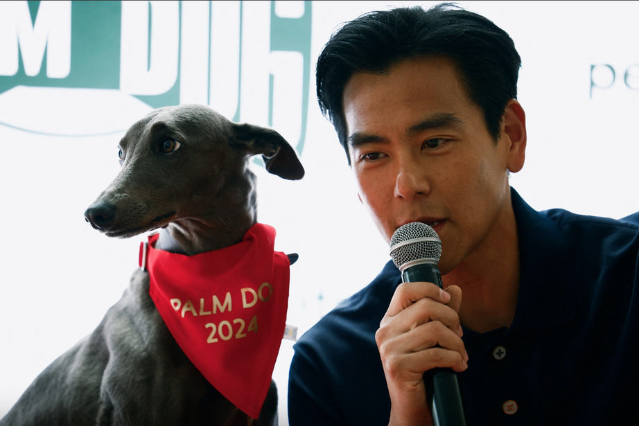 LHP Cannes 2024: Chương Tử Di diện đầm xuy&ecirc;n thấu, phim của B&agrave;nh Vu Yến thắng lớn- Ảnh 9.