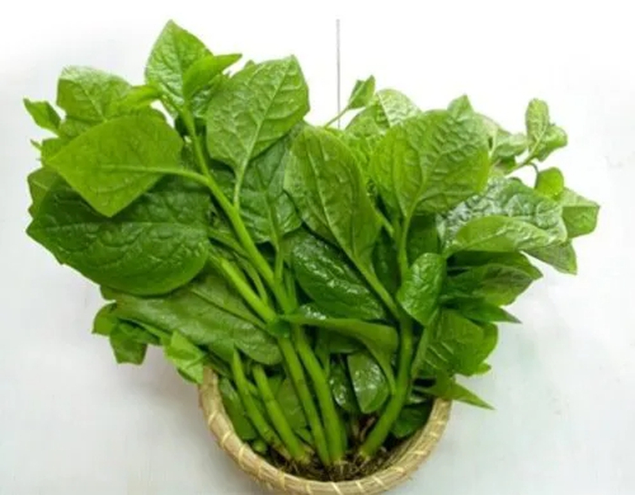 Loại rau b&igrave;nh d&acirc;n mệnh danh "thần dược" giải nhiệt, chế biến đơn giản vẫn ngon- Ảnh 1.