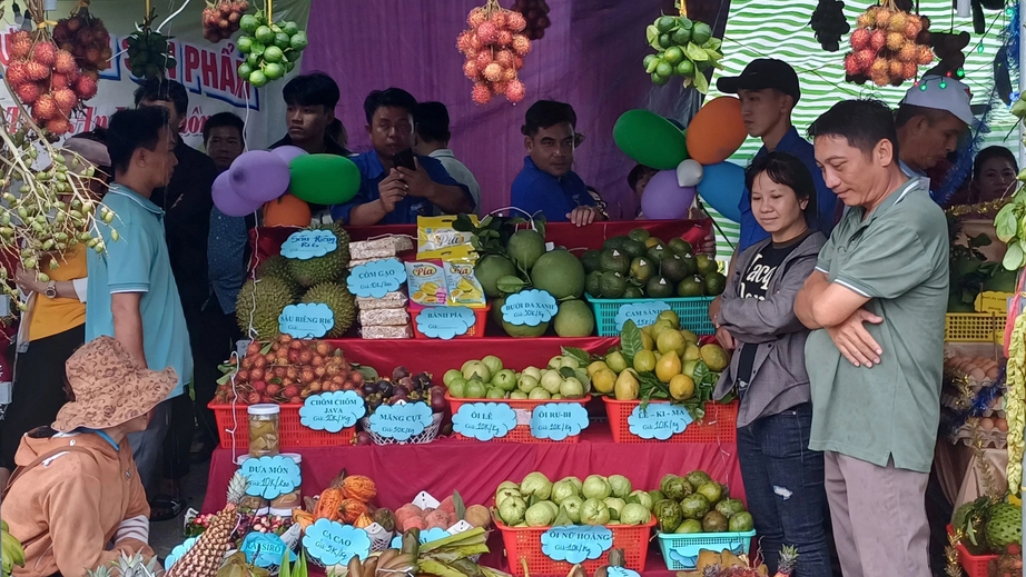 Đ&ocirc;ng đảo du kh&aacute;ch đến dự lễ hội s&ocirc;ng nước miệt vườn tại S&oacute;c Trăng- Ảnh 1.