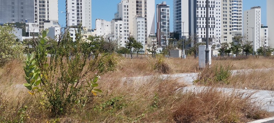 Tìm người mua đất nền của Tập đoàn Phúc Sơn ở Nha Trang để phục vụ điều tra- Ảnh 1. Tìm người mua đất nền của Tập đoàn Phúc Sơn ở Nha Trang để phục vụ điều tra- Ảnh 1.