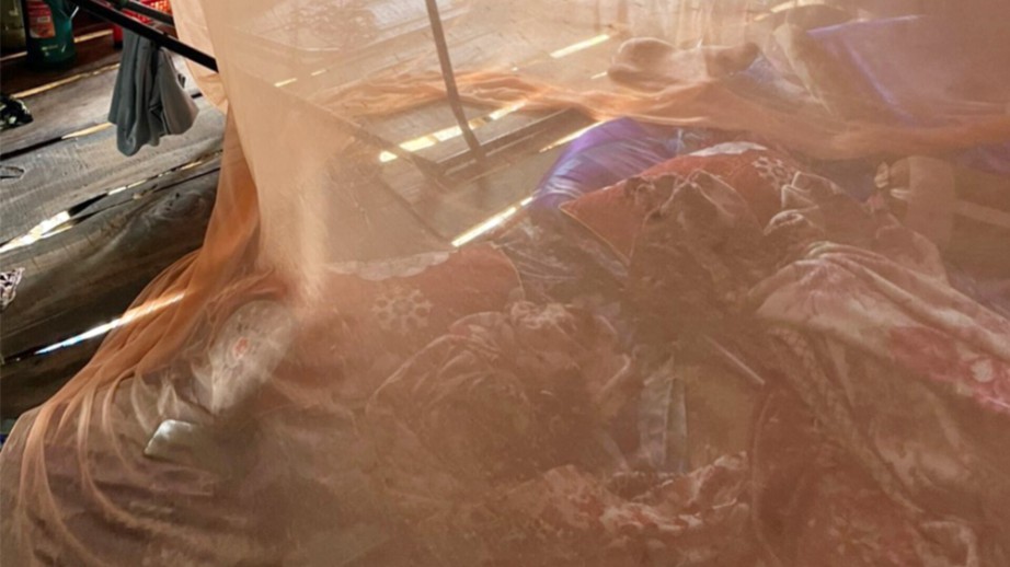 X&aacute;c định nguy&ecirc;n nh&acirc;n 3 người trong c&ugrave;ng gia đ&igrave;nh ở An Giang tử vong- Ảnh 1.