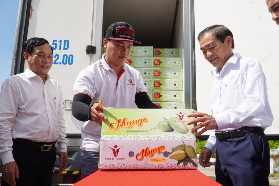Cần Thơ lần đầu xuất khẩu xo&agrave;i tượng da xanh sang Mỹ v&agrave; &Uacute;c- Ảnh 2.