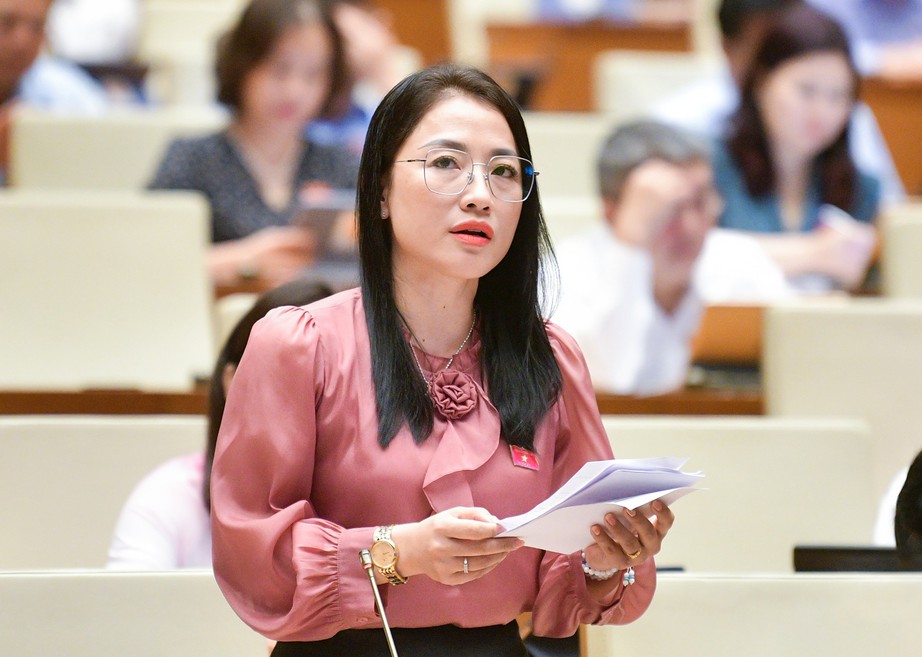 Đại biểu Quốc hội đề xuất xử l&yacute; h&igrave;nh sự đối tượng mua b&aacute;n thai nhi- Ảnh 1.