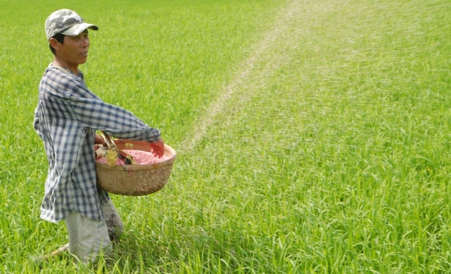 Ph&acirc;n b&oacute;n kh&ocirc;ng chịu thuế GTGT - khi n&agrave;o lợi, khi n&agrave;o thiệt?- Ảnh 1.
