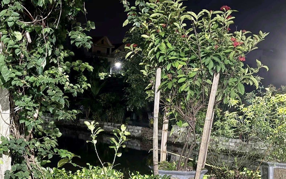 3 trẻ mầm non đuối nước tử vong khi chơi ở ao gần nh&agrave;- Ảnh 1.