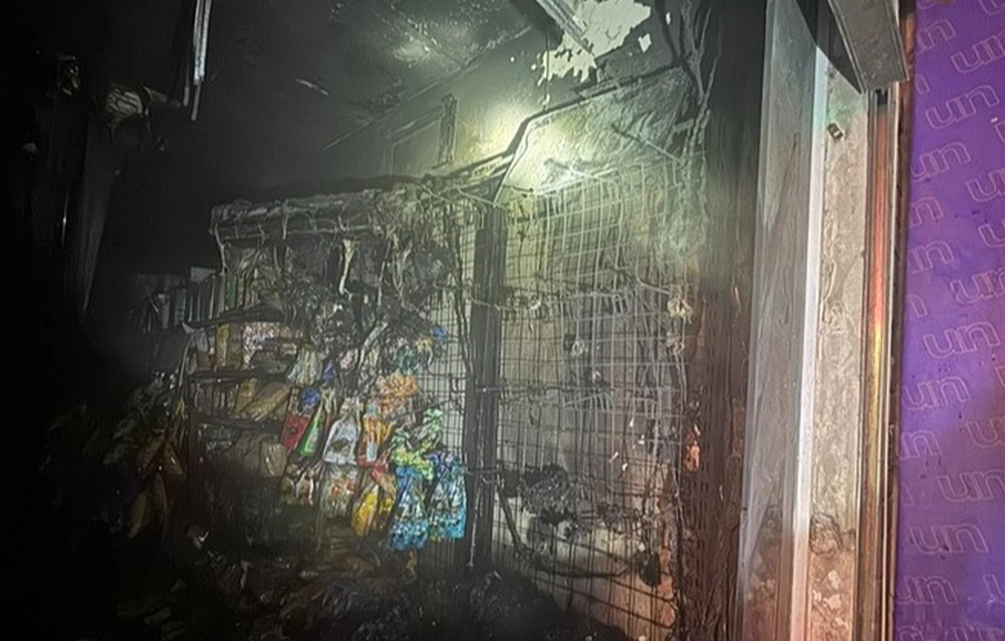 3 người tho&aacute;t nạn trong vụ ch&aacute;y nh&agrave; cao tầng l&uacute;c rạng s&aacute;ng - Ảnh 1.