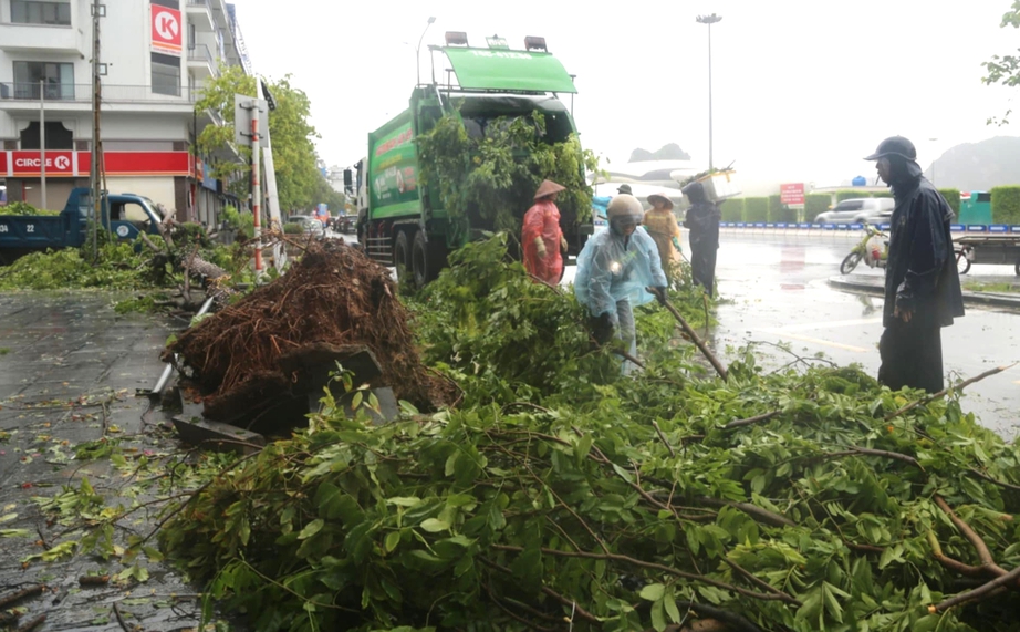 Cận cảnh c&acirc;y đổ, phố ngập, đường sạt lở ở Quảng Ninh sau b&atilde;o số 2- Ảnh 10.