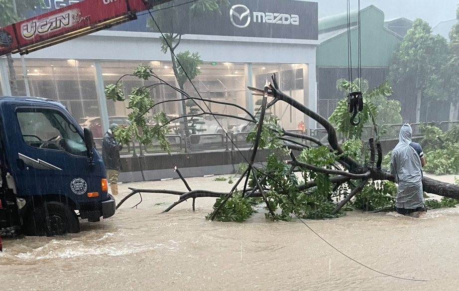 Quảng Ninh khắc phục các điểm sạt lở giao thông, du khách từ đảo về đất liền thuận lợi- Ảnh 1. Quảng Ninh khắc phục các điểm sạt lở giao thông, du khách từ đảo về đất liền thuận lợi- Ảnh 1.