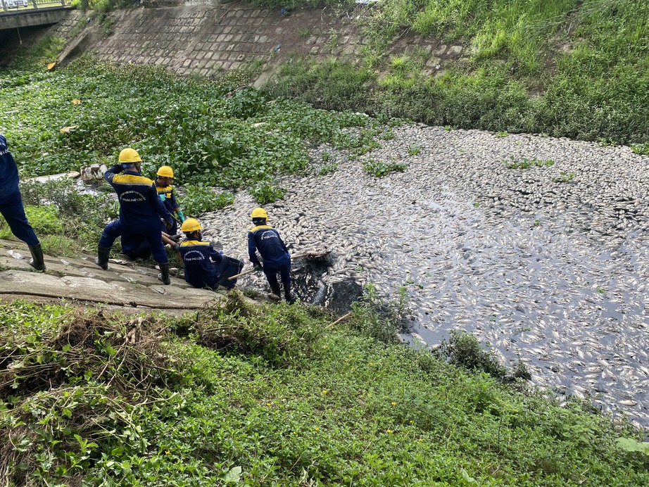Tìm nguyên nhân 10 tấn cá chết trên hồ điều tiết ở Đà Nẵng- Ảnh 1. Tìm nguyên nhân 10 tấn cá chết trên hồ điều tiết ở Đà Nẵng- Ảnh 1.
