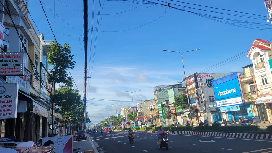 "Điểm danh" c&aacute;c dự &aacute;n trồng c&acirc;y xanh tại Gia Lai bị Bộ C&ocirc;ng an y&ecirc;u cầu cung cấp hồ sơ- Ảnh 1.