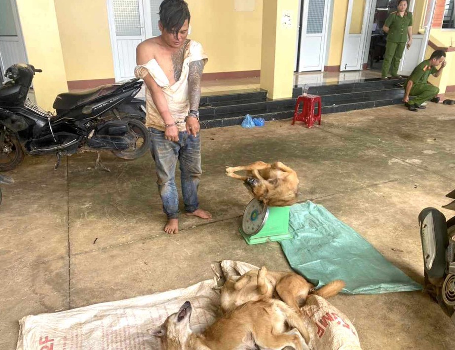 Trộm ch&oacute; d&ugrave;ng dao đ&acirc;m chủ nh&agrave; trọng thương- Ảnh 1.