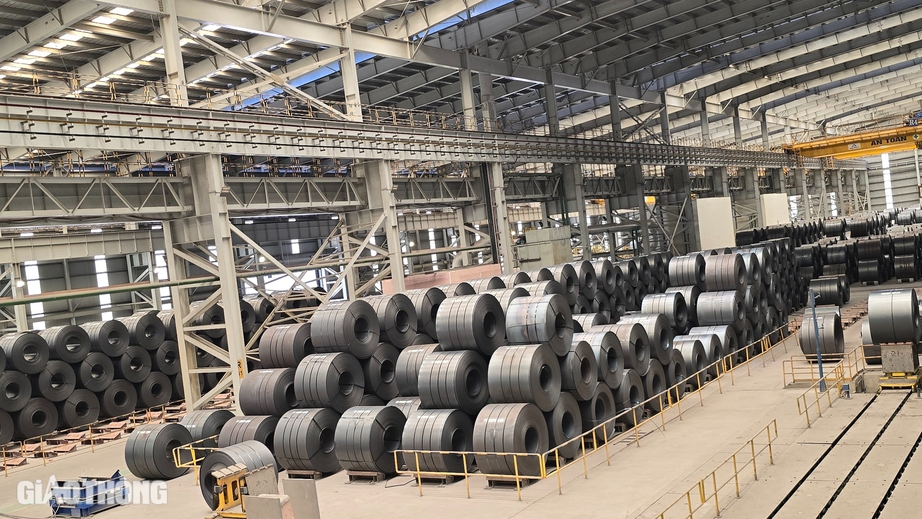 Hệ lụy khi loạt quốc gia điều tra th&eacute;p c&aacute;n n&oacute;ng của Việt Nam- Ảnh 1.