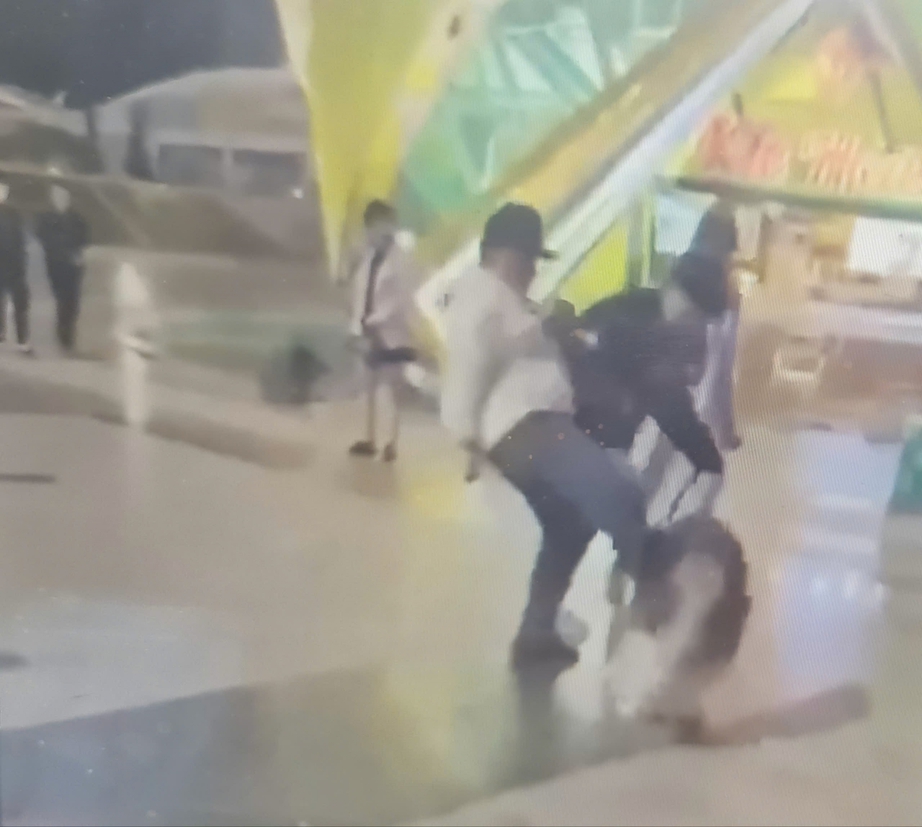 Đ&agrave; Lạt đề nghị c&ocirc;ng an v&agrave;o cuộc l&agrave;m r&otilde; vụ đ&aacute;nh đập động vật ngay giữa quảng trường- Ảnh 2.