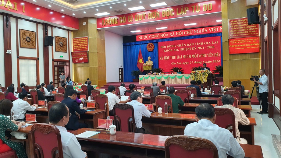 Gia Lai c&oacute; t&acirc;n Chủ tịch tỉnh- Ảnh 1.