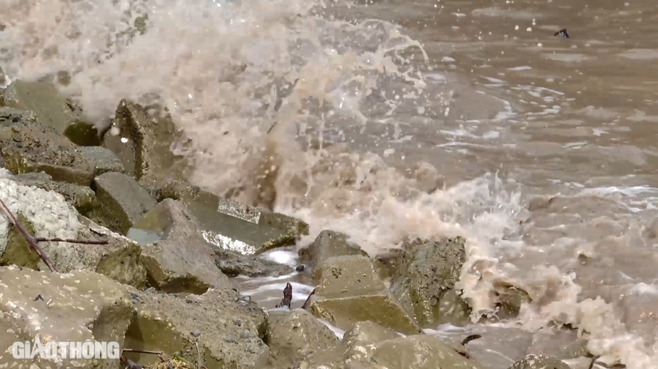 Cận cảnh sạt lở đ&ecirc; Biển Đ&ocirc;ng ở Bạc Li&ecirc;u- Ảnh 9.