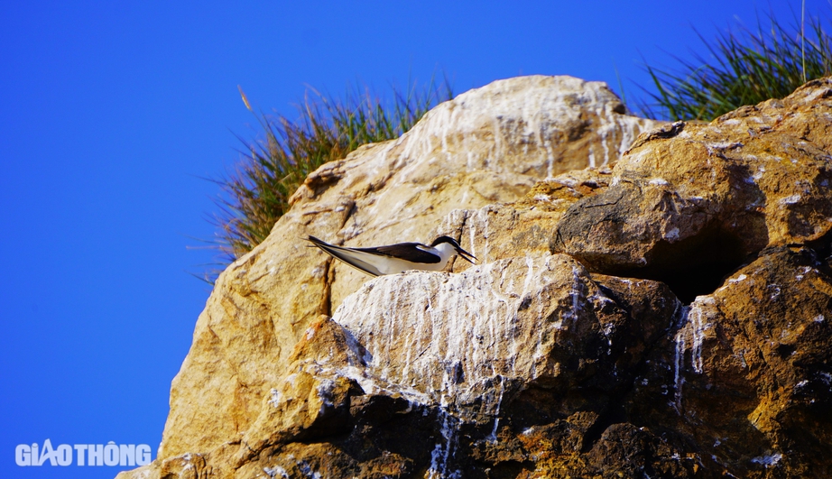 Sừng sững cột mốc A9 giữa biển trời B&igrave;nh Định- Ảnh 8.