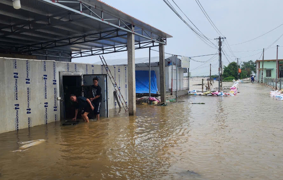 Cận cảnh khẩn cấp hộ đ&ecirc;, sơ t&aacute;n d&acirc;n tại c&aacute;c v&ugrave;ng b&aacute;o động lũ cấp 3 ở Nam Định- Ảnh 4.