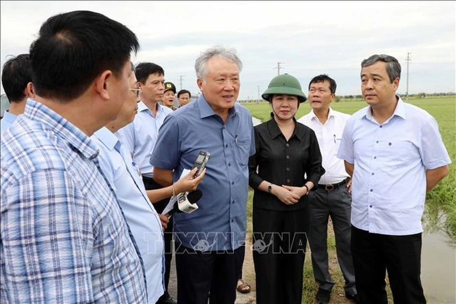 Ph&oacute; thủ tướng Nguyễn H&ograve;a B&igrave;nh kiểm tra việc khắc phục hậu quả b&atilde;o tại Nam Định, Th&aacute;i B&igrave;nh- Ảnh 3.