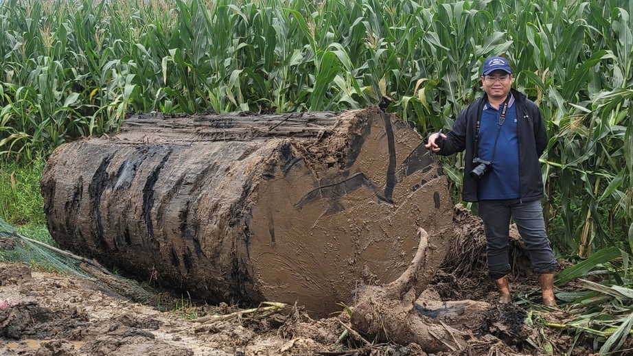 Gia Lai: X&aacute;c minh vụ đ&agrave;o bới g&acirc;y sạt lở bờ s&ocirc;ng nghi lấy gỗ ch&ocirc;n lấp sau lũ lụt- Ảnh 2.