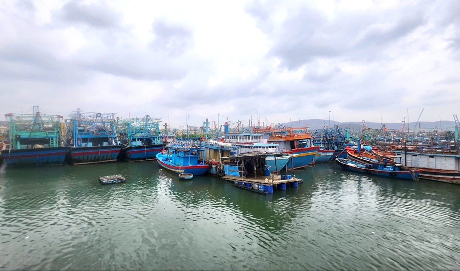 Bộ đội Bi&ecirc;n ph&ograve;ng Gia Lai triển khai đồng bộ biện ph&aacute;p ứng ph&oacute; b&atilde;o số 15- Ảnh 3.