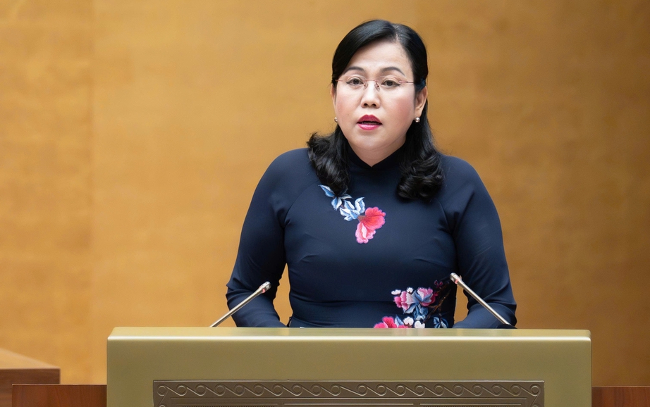 Sửa Luật Địa chất v&agrave; kho&aacute;ng sản, gỡ kh&oacute; nguồn cung vật liệu cho dự &aacute;n trọng điểm- Ảnh 2.