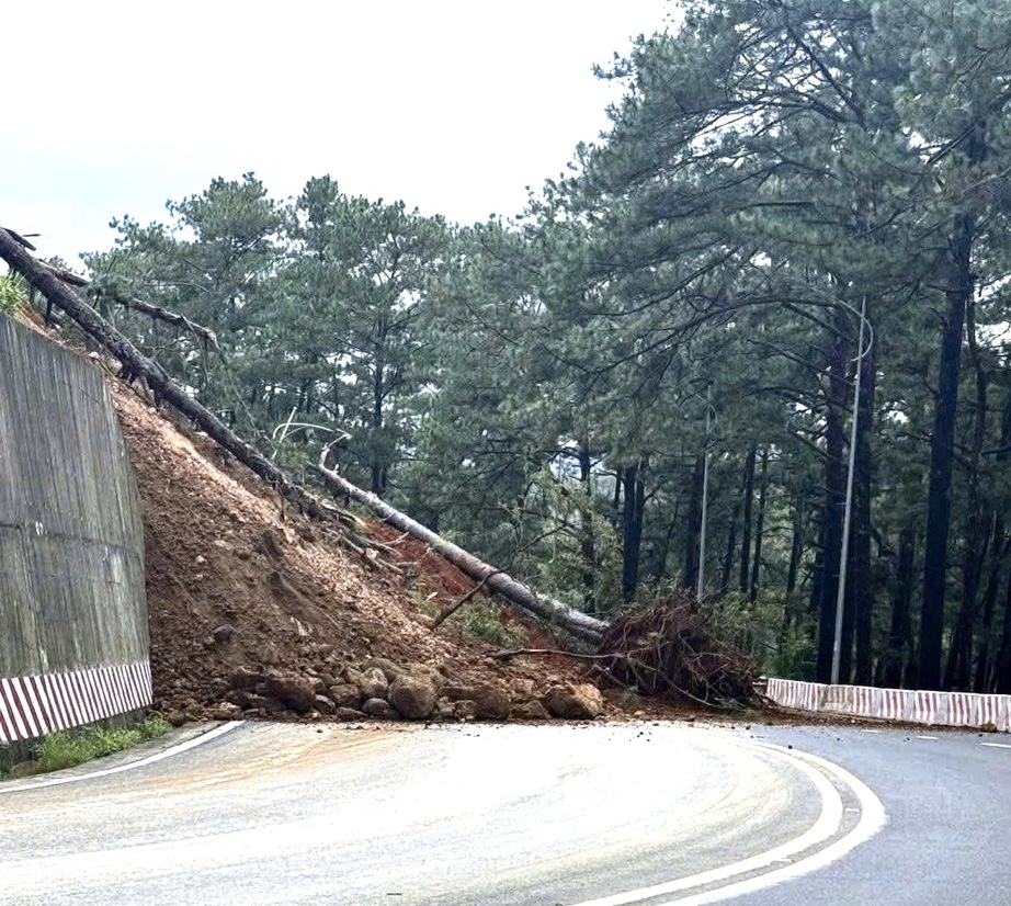 L&acirc;m Đồng: Sạt lở lớn tr&ecirc;n đ&egrave;o Prenn, tạm ngưng lưu th&ocirc;ng hai chiều- Ảnh 1.