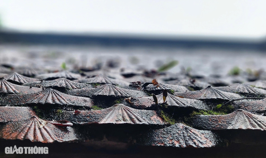 B&iacute; ẩn về những b&aacute;u vật trong ng&ocirc;i ch&ugrave;a 400 năm tuổi ở Th&aacute;i Nguy&ecirc;n- Ảnh 7.