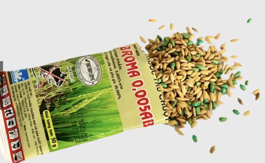 Cứu sống bé 3 tuổi lỡ đưa vào miệng nắm thóc trộn thuốc diệt chuột- Ảnh 1. Cứu sống bé 3 tuổi lỡ đưa vào miệng nắm thóc trộn thuốc diệt chuột- Ảnh 1.