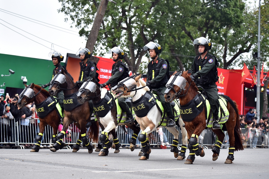 M&atilde;n nh&atilde;n m&agrave;n biểu diễn tấn c&ocirc;ng tội phạm của lực lượng cảnh khuyển, kỵ binh- Ảnh 2.