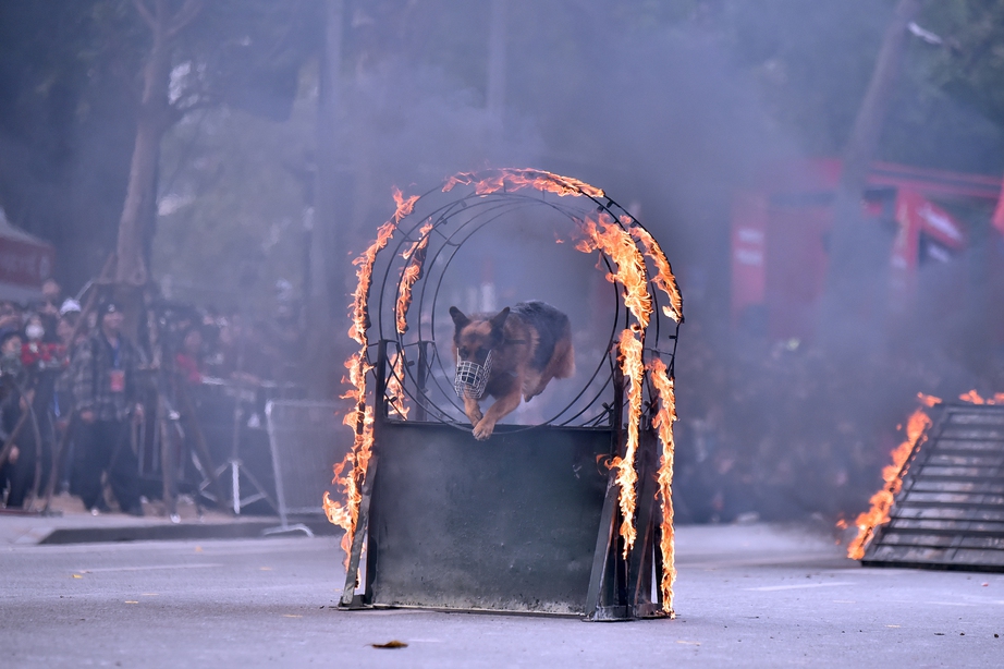 M&atilde;n nh&atilde;n m&agrave;n biểu diễn tấn c&ocirc;ng tội phạm của lực lượng cảnh khuyển, kỵ binh- Ảnh 12.