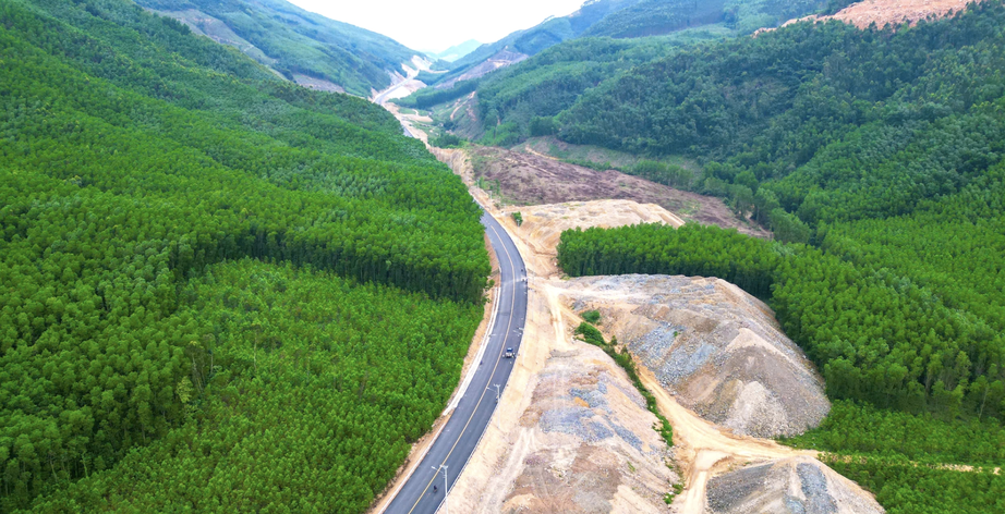 Đề xuất tạm sử dụng rừng để thực hiện dự án giao thông trọng điểm- Ảnh 1. Đề xuất tạm sử dụng rừng để thực hiện dự án giao thông trọng điểm- Ảnh 1.