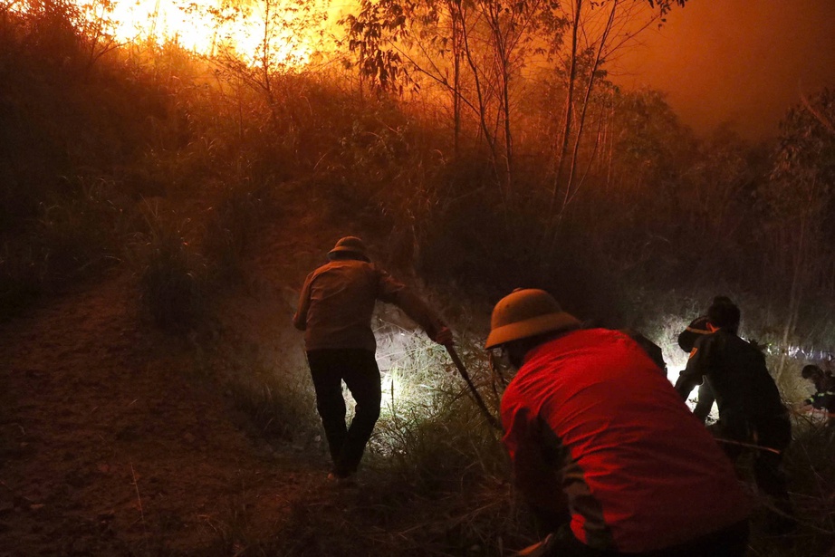 Vĩnh Phúc: Huy động gần 800 người tham gia chữa cháy rừng tại Núi Ngang- Ảnh 1. Vĩnh Phúc: Huy động gần 800 người tham gia chữa cháy rừng tại Núi Ngang- Ảnh 1.