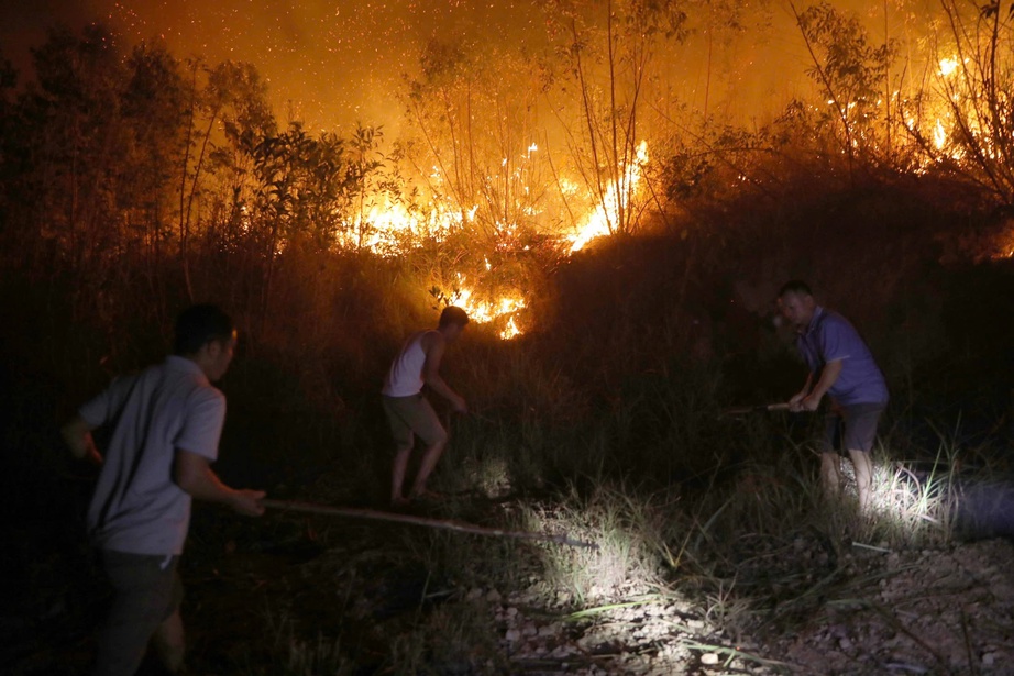 Vĩnh Phúc: Huy động gần 800 người tham gia chữa cháy rừng tại Núi Ngang- Ảnh 3. Vĩnh Phúc: Huy động gần 800 người tham gia chữa cháy rừng tại Núi Ngang- Ảnh 3.