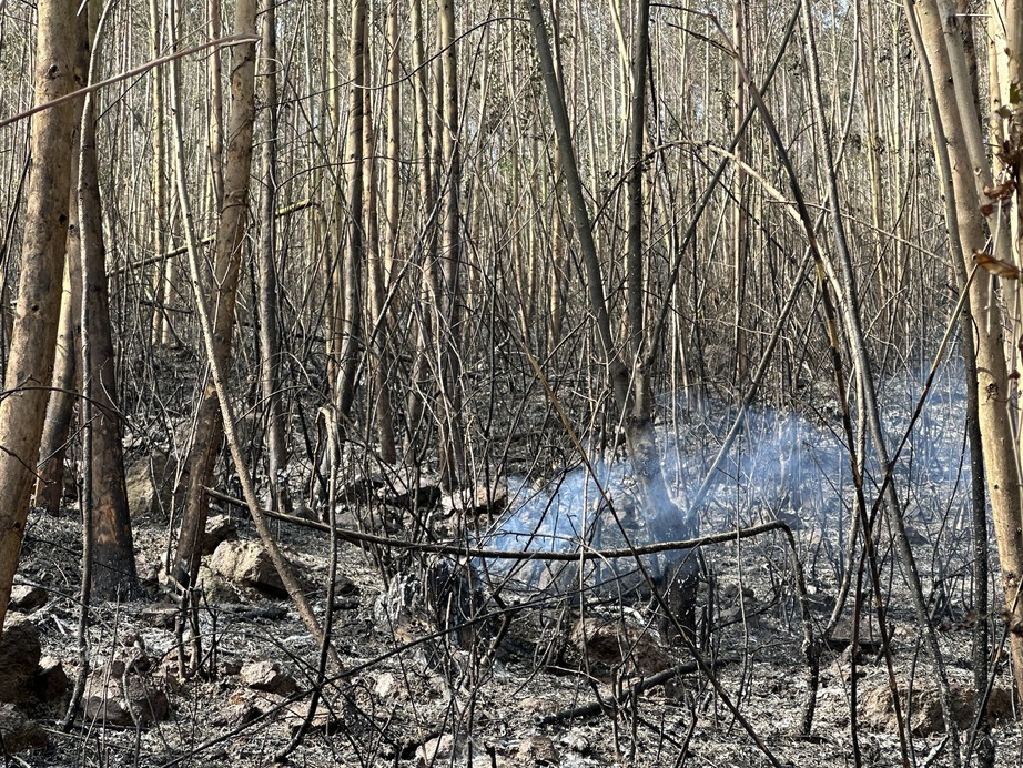 Vĩnh Phúc: Huy động gần 800 người tham gia chữa cháy rừng tại Núi Ngang- Ảnh 5. Vĩnh Phúc: Huy động gần 800 người tham gia chữa cháy rừng tại Núi Ngang- Ảnh 5.