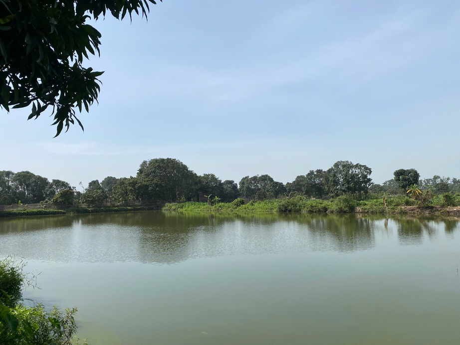 Hải Dương: Nh&oacute;m học sinh bơi thuyền tr&ecirc;n ao c&aacute;, một em đuối nước tử vong thương t&acirc;m- Ảnh 1.