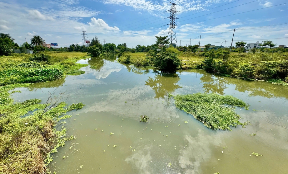 Cá chết bất thường nổi lềnh bềnh trên sông Bàu Giang- Ảnh 2. Cá chết bất thường nổi lềnh bềnh trên sông Bàu Giang- Ảnh 2.
