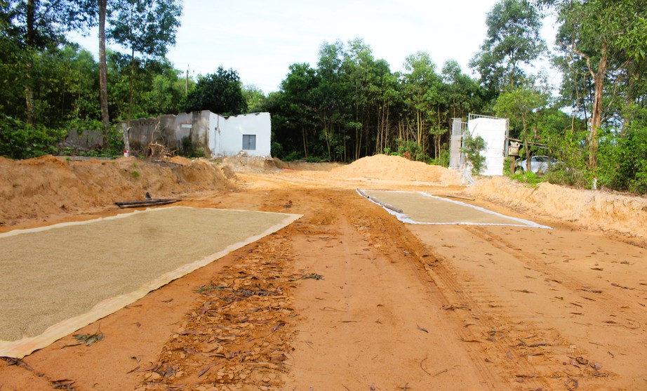 Toàn cảnh công trình đường trăm tỷ đồng ở Quảng Trị sau hơn 2 tháng thay nhà thầu- Ảnh 12. Toàn cảnh công trình đường trăm tỷ đồng ở Quảng Trị sau hơn 2 tháng thay nhà thầu- Ảnh 12.