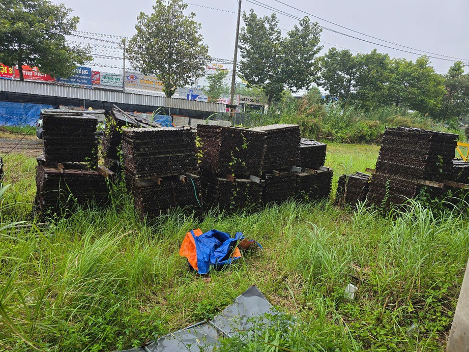 Cần Thơ sẽ sớm triển khai dự &aacute;n Bệnh viện Ung bướu, tr&aacute;nh l&atilde;ng ph&iacute;- Ảnh 7.