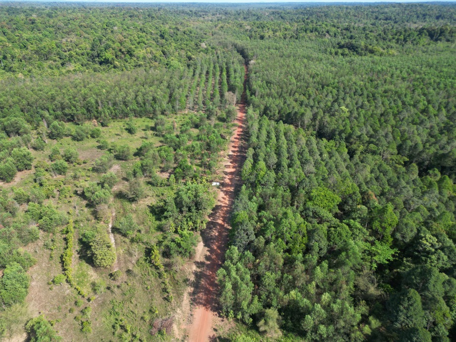 Ph&ecirc; duyệt chủ trương đầu tư cầu M&atilde; Đ&agrave; hơn 192 tỷ đồng- Ảnh 2.