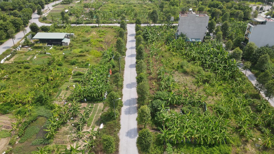 Gấp r&uacute;t điều chỉnh quy hoạch đất sau s&aacute;p nhập- Ảnh 1.