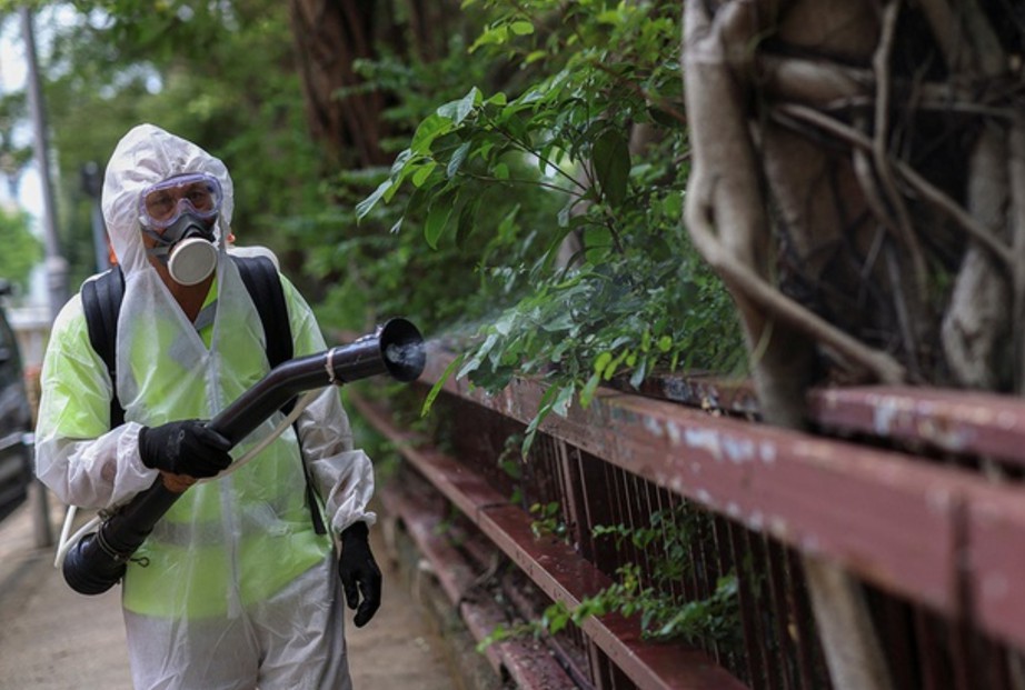 Dịch Chikungunya b&ugrave;ng ph&aacute;t ở Trung Quốc c&oacute; nguy cơ x&acirc;m nhập v&agrave;o Việt Nam?- Ảnh 1.