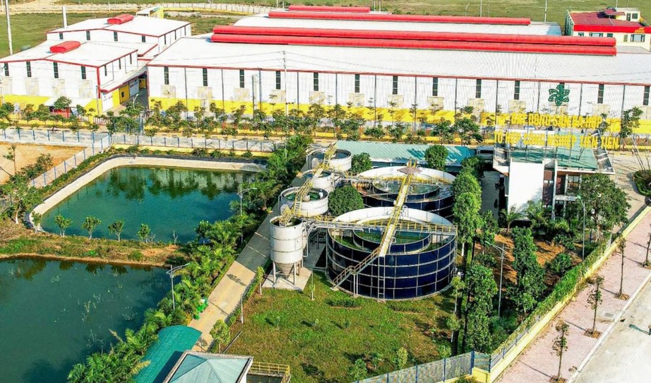 Dạ Hợp g&oacute;p phần đưa h&ograve;a b&igrave;nh vươn m&igrave;nh ph&aacute;t triển- Ảnh 2.