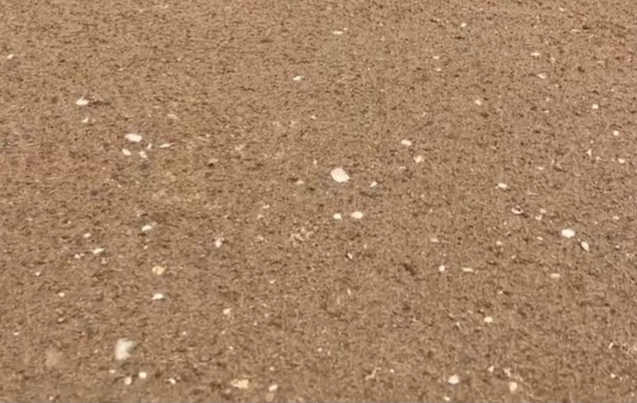 VSIP Cần Thơ không thuộc đối tượng cấp mỏ cát biển theo cơ chế đặc thù- Ảnh 3. VSIP Cần Thơ không thuộc đối tượng cấp mỏ cát biển theo cơ chế đặc thù- Ảnh 3.