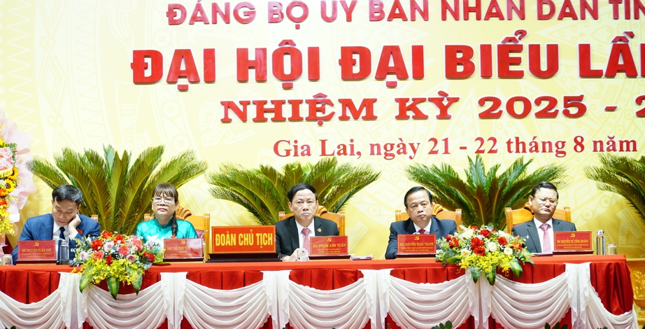 B&iacute; thư Hồ Quốc Dũng: &ldquo;Gia Lai phải tăng trưởng kh&ocirc;ng thấp hơn b&igrave;nh qu&acirc;n chung của cả nước"- Ảnh 3.