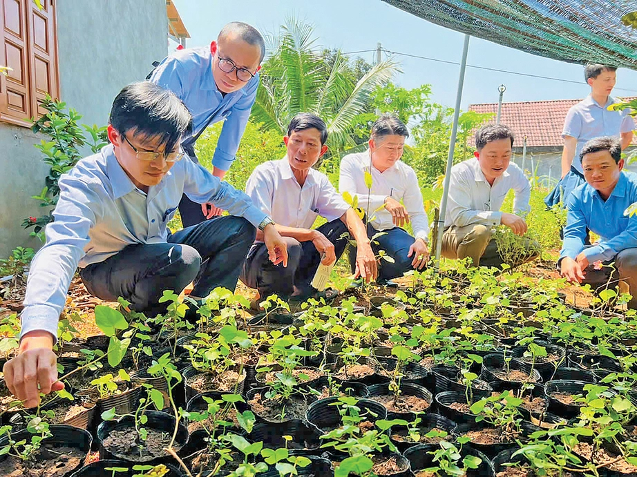 Kỳ lạ s&acirc;m tiến vua tuyệt chủng... mọc đầy b&igrave;a rừng- Ảnh 1.