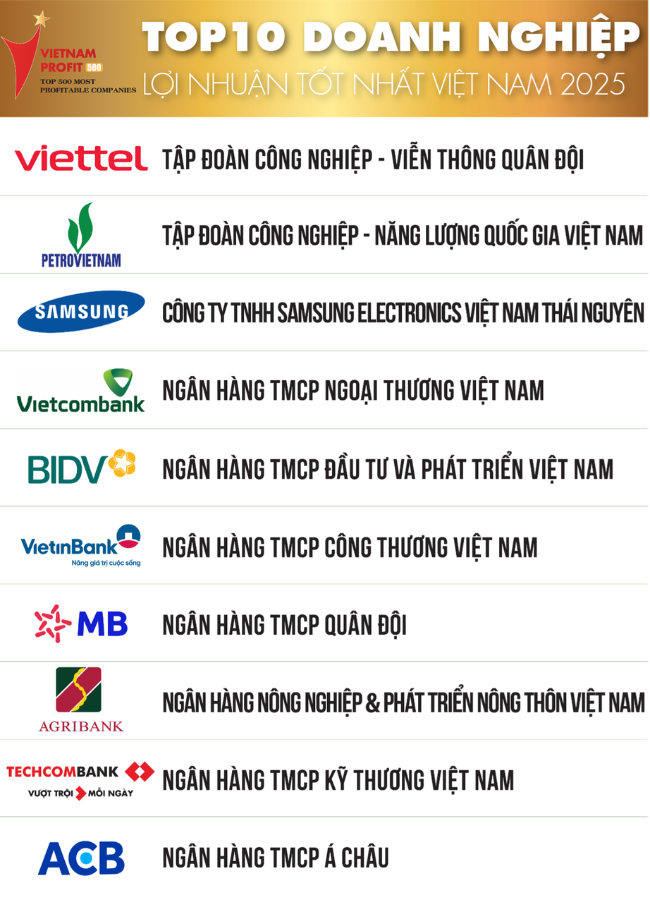 Thấy g&igrave; qua Top 500 doanh nghiệp lợi nhuận tốt nhất Việt Nam năm 2025?- Ảnh 1.