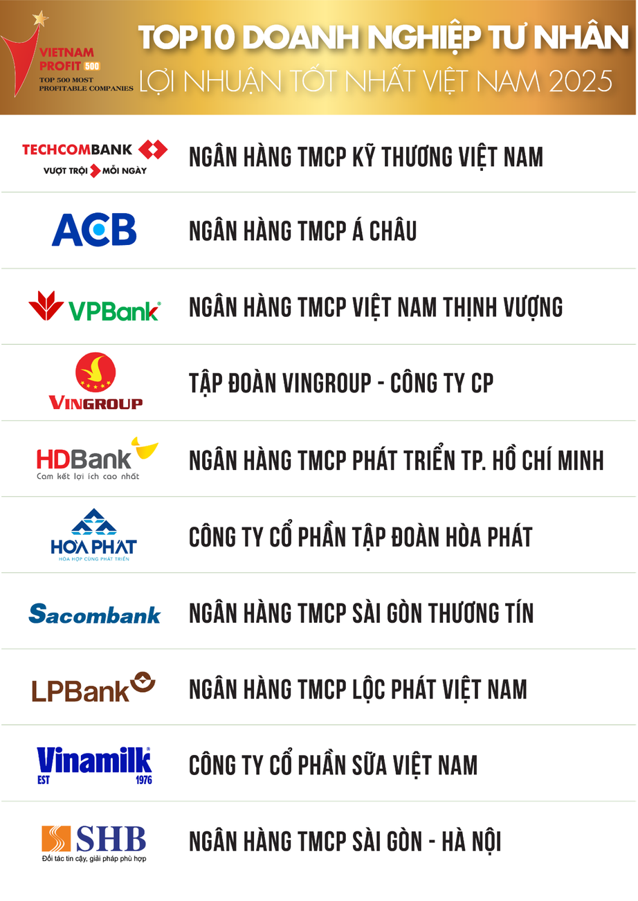 Thấy g&igrave; qua Top 500 doanh nghiệp lợi nhuận tốt nhất Việt Nam năm 2025?- Ảnh 2.